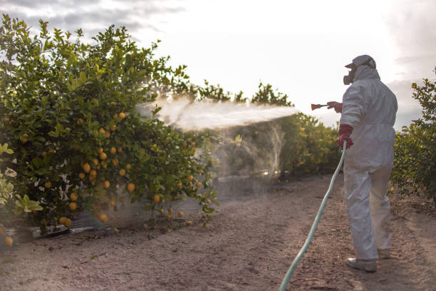 Pest Prevention Services in Portage, MI